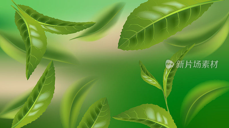 Beautiful Flying Green Tea Leaf